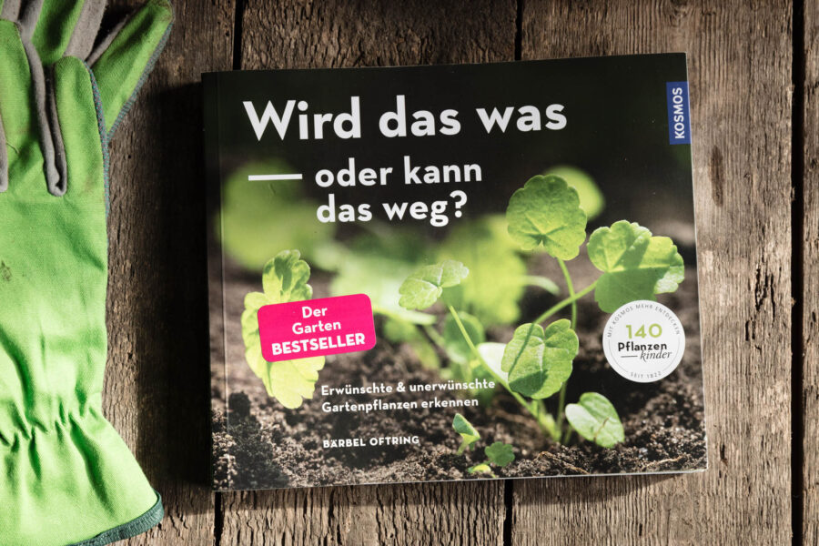 Buchvorstellung: Wird das was - oder kann das weg