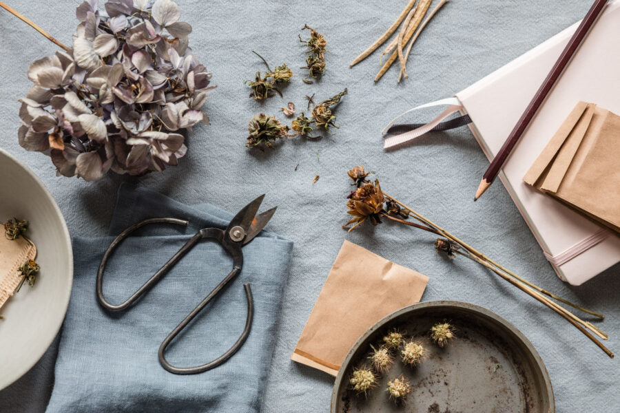 Synbolbild für den Beitrag Blumen- und Gemüsesamen kaufen