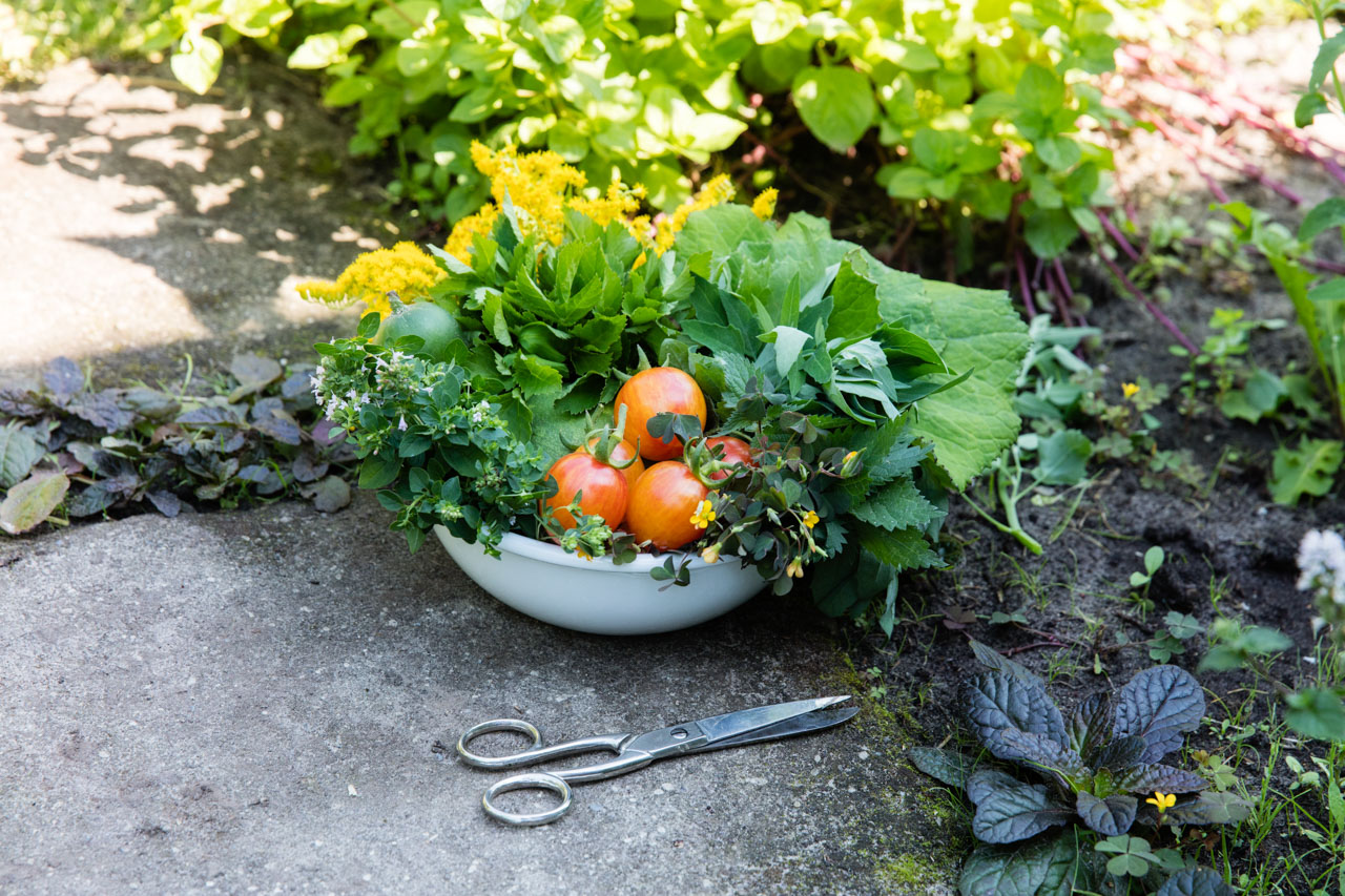 Headerbild zum Beitrag "Wie sieht eine gesunde Ernährung aus" - 8 Quellen, die für mich funktionieren.